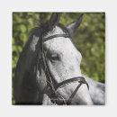 Recherche de tête de cheval magnets Vertical
