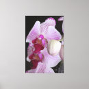 Suche nach rosa orchidee leinwandbilder Blüte
