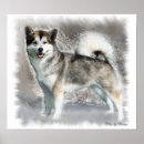 Recherche de malamute art Mignon