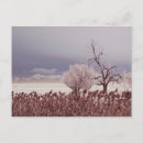 Recherche de se givrer cartes postales Gelé