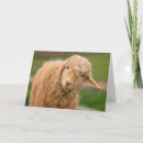 Recherche de angora vœux cartes Drôle
