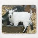 Suche nach lecken sie mousepads Kinder