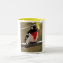 Recherche de bec tasses Nature
