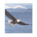 Suche nach flug notizblock Adler