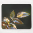 Suche nach heller frühling mousepads Gold