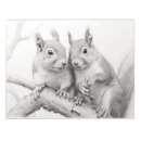 Recherche de écureuils blocsnotes Faune