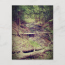 Recherche de crique cartes postales Forêt