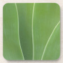 Suche nach agave untersetzer Abstrakt