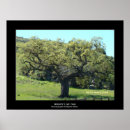 Suche nach photographies kunst Baum