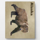 Recherche de ours plaques Animaux