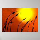 Suche nach knoblauch poster Foto