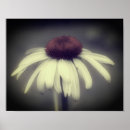 Recherche de vintage co posters Pour elle