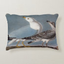 Recherche de mouette décoration coussins Illustration de mouette