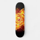 Recherche de roses de floraison skateboards Fleur