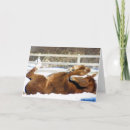 Suche nach ehrliche karten Pferde