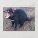Recherche de diable tasmanien cartes postales Nature