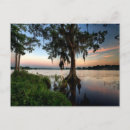 Suche nach gulf coast poster Landscape