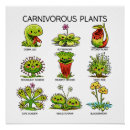 Recherche de carnivore posters Plantes carnivores