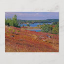Recherche de landes cartes postales Rural