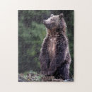 Suche nach wilder westen puzzle Usa