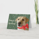 Recherche de labrador christmas vœux cartes Animal