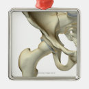 Suche nach körperteil ornamente Vorderansicht