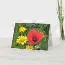 Suche nach gelbe mohnblume postkarten Rot