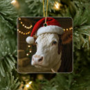 Suche nach lustige tiere ornamente Weihnachten