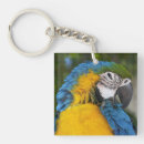 Suche nach parrot schlüsselanhänger Blau