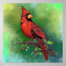 Recherche de oiseau cardinal rouge posters Nord