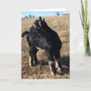 Recherche de photo de chèvre vœux cartes Noir