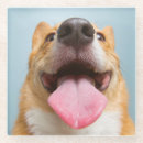 Suche nach lustige corgi untersetzer Welpe