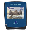 Recherche de morse animal Glace