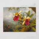 Recherche de colibris cartes postales L'art des colibris