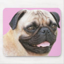 Recherche de langue tapis souris Carlin