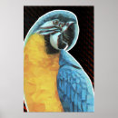 Suche nach macaw poster Papagei