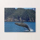 Recherche de baleines de bosse puzzles Alaska