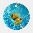 Recherche de vaisselle ornements Martini