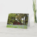 Recherche de bluebonnets vœux cartes Le texas
