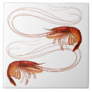 Suche nach louisiana fliesen Südlich