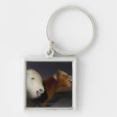 Recherche de le kentucky photographie Photographie de cheval