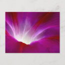 Recherche de macro photo cartes postales Jardin