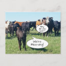 Recherche de somme cartes postales Nature