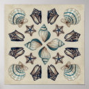 Suche nach sealife poster Coastal