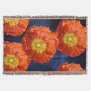 Suche nach mohnblumen decken Sommer
