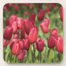 Recherche de pays bas dessous de verres Rouge
