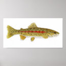 Suche nach trout poster Salmon