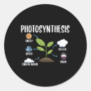 Suche nach gartenbau aufkleber Pflanze