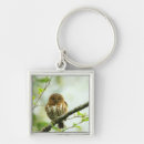 Recherche de jeune hibou Nature