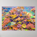 Recherche de great barrier reef posters Ocean